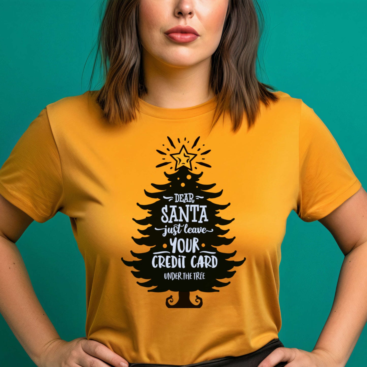 Dear Santa just leave your credit card.
