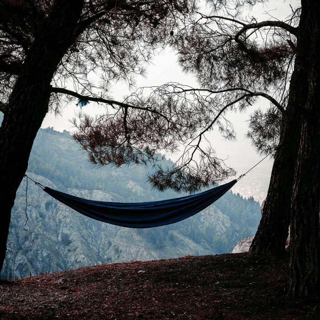Wild / Nature